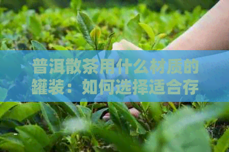 普洱散茶用什么材质的罐装：如何选择适合存普洱散茶的罐子？