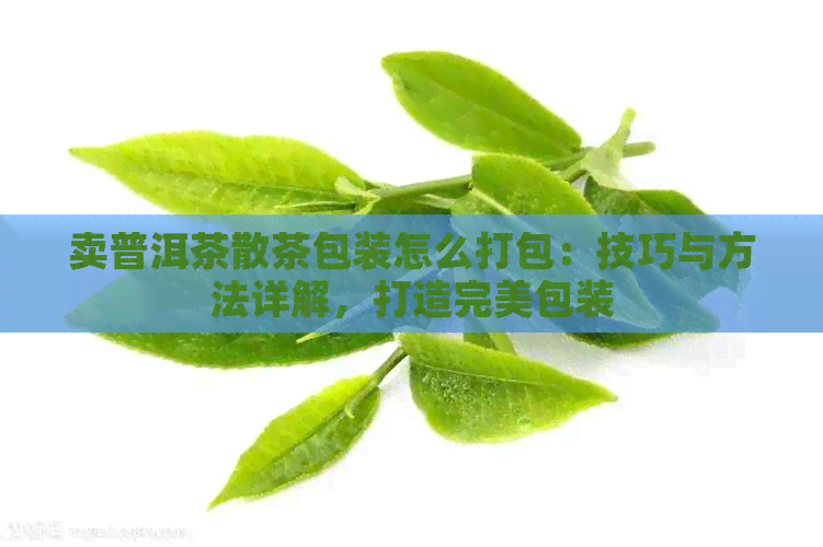 卖普洱茶散茶包装怎么打包：技巧与方法详解，打造完美包装