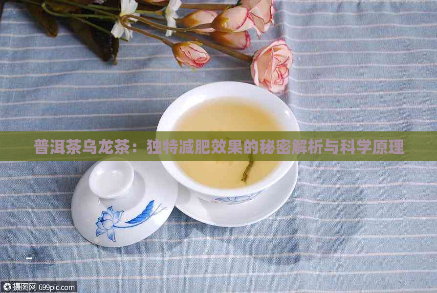 普洱茶乌龙茶：独特减肥效果的秘密解析与科学原理