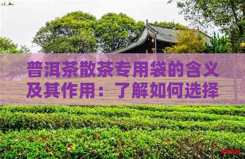 普洱茶散茶专用袋的含义及其作用：了解如何选择和使用这些袋子