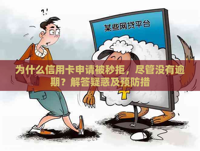 为什么信用卡申请被秒拒，尽管没有逾期？解答疑惑及预防措