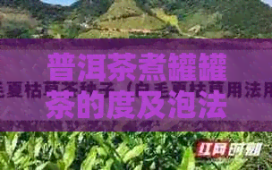 普洱茶煮罐罐茶的度及泡法全解：如何正确操作以获得口感？