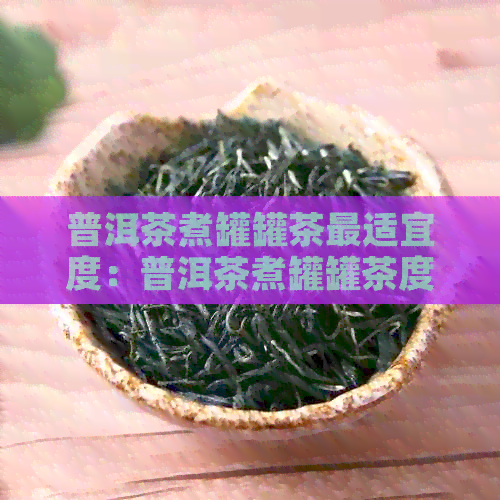 普洱茶煮罐罐茶最适宜度：普洱茶煮罐罐茶度多少度合适