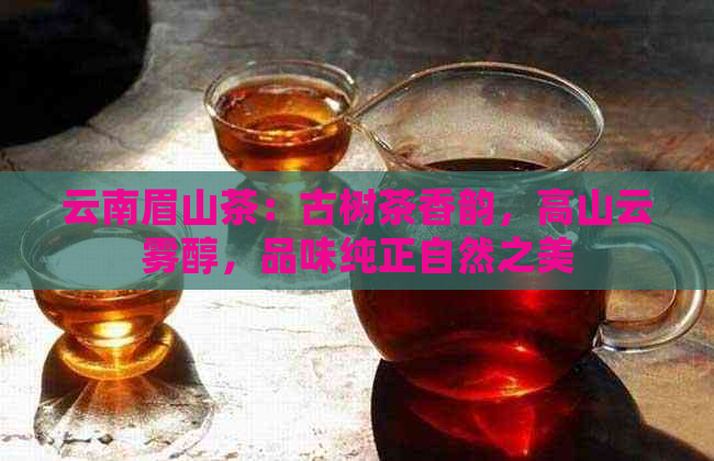 云南眉山茶：古树茶香韵，高山云雾醇，品味纯正自然之美