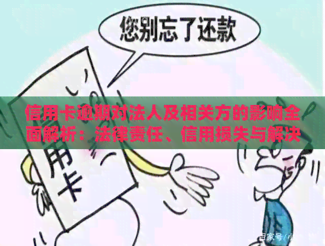 信用卡逾期对法人及相关方的影响全面解析：法律责任、信用损失与解决方案