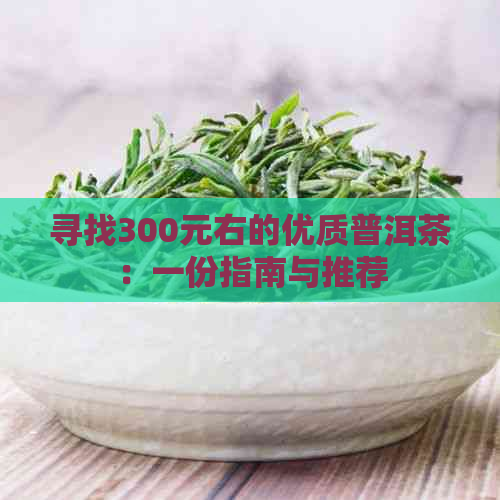 寻找300元右的优质普洱茶：一份指南与推荐