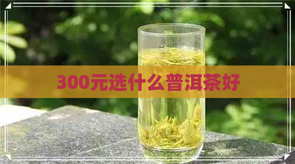 300元选什么普洱茶好