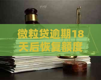 微粒贷逾期18天后恢复额度的时间预测与策略