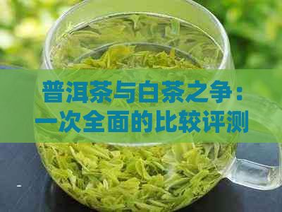 普洱茶与白茶之争：一次全面的比较评测，揭示哪个才是您的选择