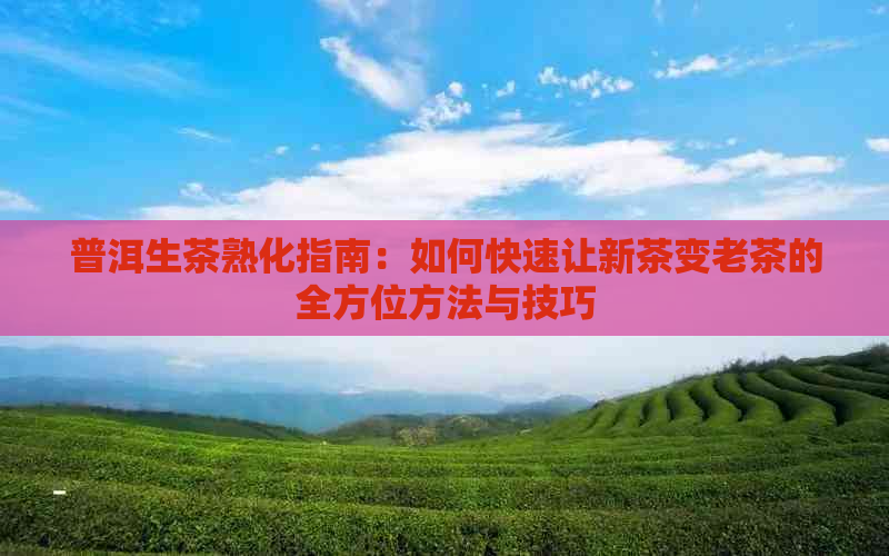 普洱生茶熟化指南：如何快速让新茶变老茶的全方位方法与技巧