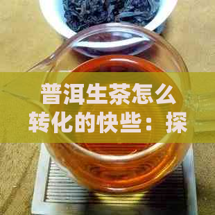 普洱生茶怎么转化的快些：探讨普洱生茶的发酵过程与品质变化