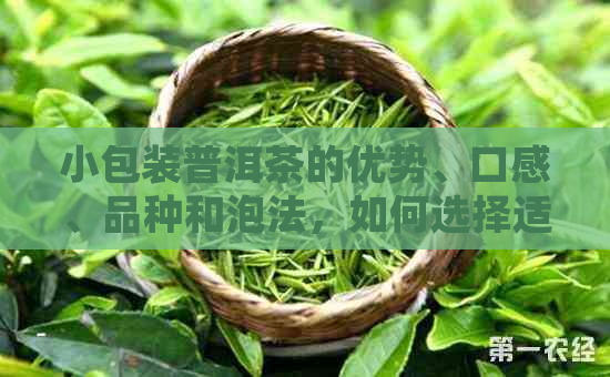 小包装普洱茶的优势、口感、品种和泡法，如何选择适合自己的小包装普洱茶？