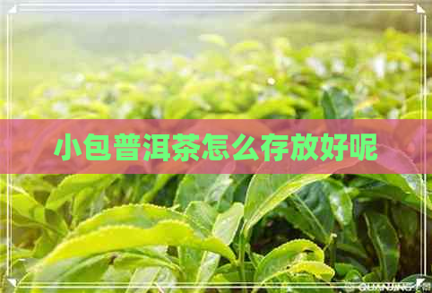 小包普洱茶怎么存放好呢