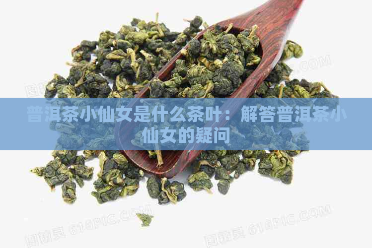 普洱茶小仙女是什么茶叶：解答普洱茶小仙女的疑问