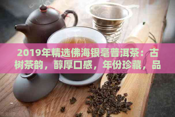 2019年精选佛海银毫普洱茶：古树茶韵，醇厚口感，年份珍藏，品质越