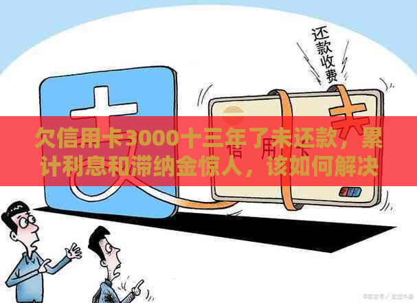 欠信用卡3000十三年了未还款，累计利息和滞纳金惊人，该如何解决？