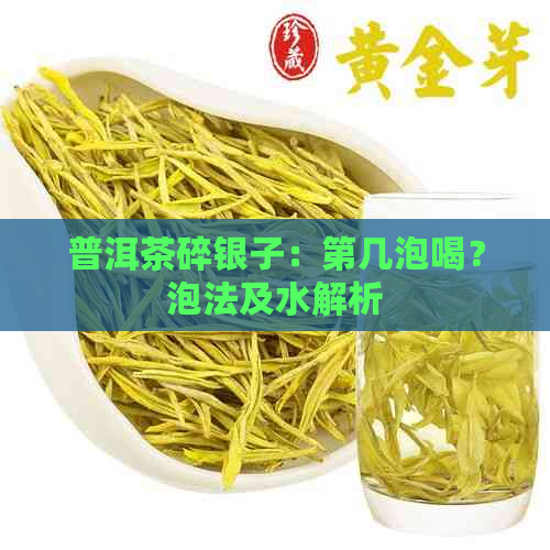 普洱茶碎银子：第几泡喝？泡法及水解析