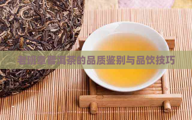 老班章普洱茶的品质鉴别与品饮技巧