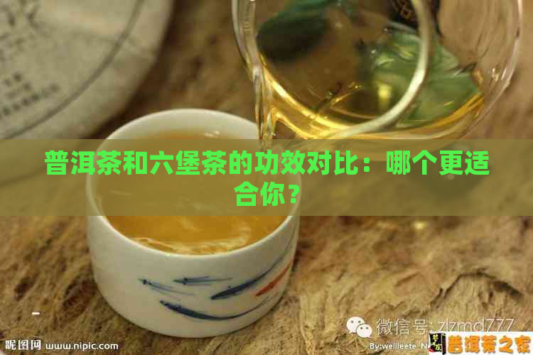 普洱茶和六堡茶的功效对比：哪个更适合你？