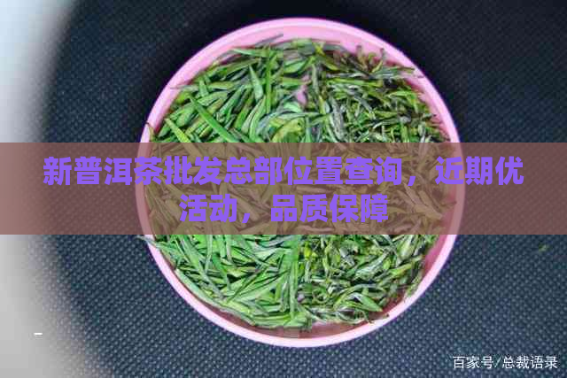 新普洱茶批发总部位置查询，近期优活动，品质保障