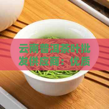 云南普洱茶叶批发供应商：优质茶叶直供，定制包装，价格优