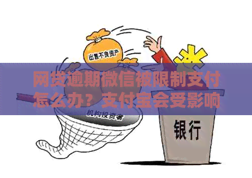 网贷逾期微信被限制支付怎么办？支付宝会受影响吗？