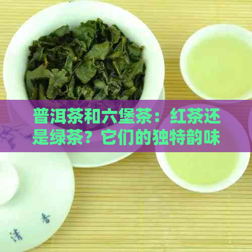 普洱茶和六堡茶：红茶还是绿茶？它们的独特韵味与区别解析