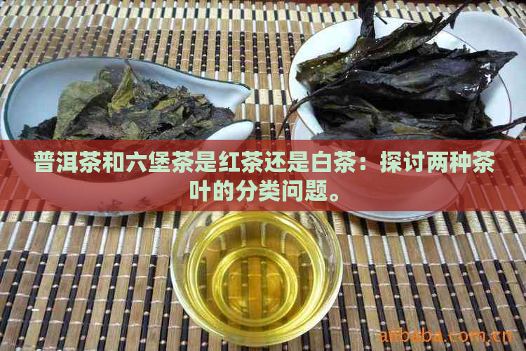 普洱茶和六堡茶是红茶还是白茶：探讨两种茶叶的分类问题。