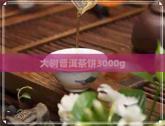 大树普洱茶饼3000g