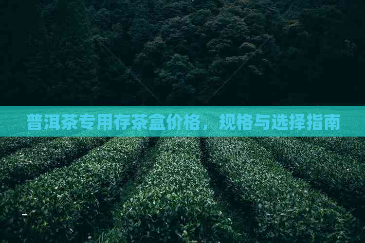 普洱茶专用存茶盒价格，规格与选择指南