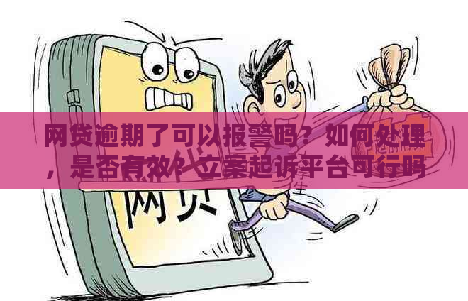 网贷逾期了可以报警吗？如何处理，是否有效？立案起诉平台可行吗？