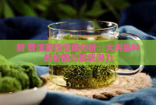 新 普洱茶饼市场分析：大树品种的价值与投资潜力