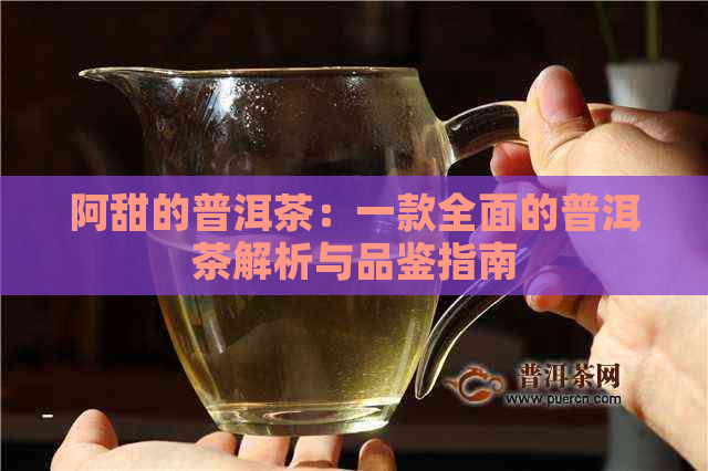 阿甜的普洱茶：一款全面的普洱茶解析与品鉴指南