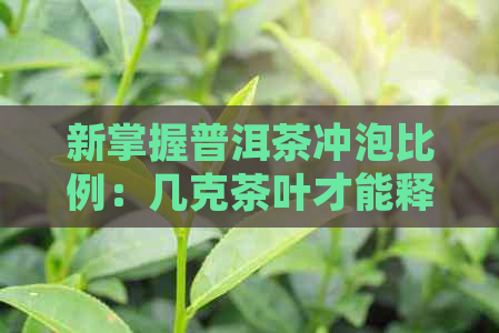 新掌握普洱茶冲泡比例：几克茶叶才能释放出更优美的风味？