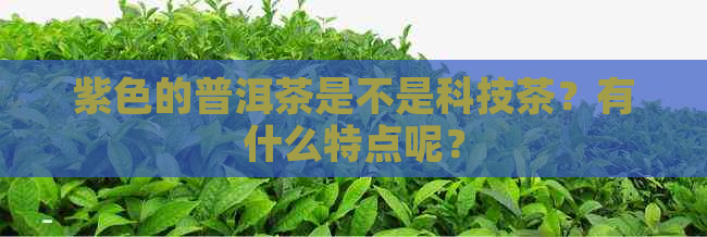 紫色的普洱茶是不是科技茶？有什么特点呢？