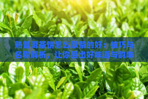 熟普洱茶饼怎么取茶的好：技巧与名称解析，让你品出好味道与韵味