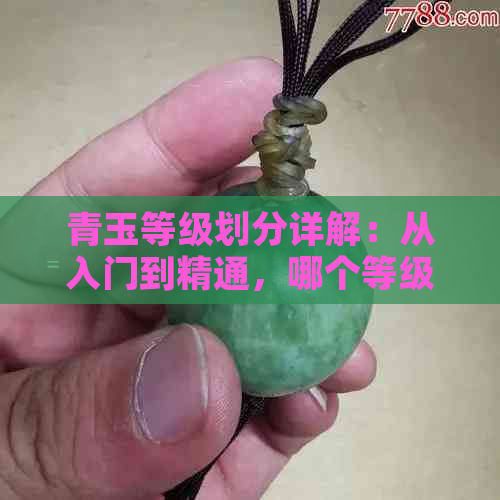 青玉等级划分详解：从入门到精通，哪个等级的价格最昂贵？