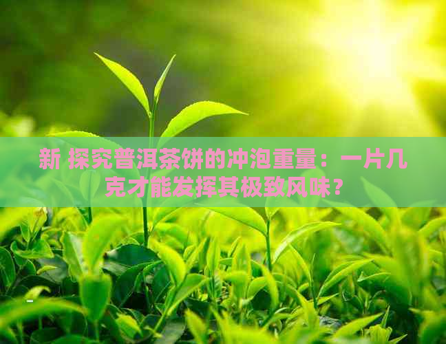 新 探究普洱茶饼的冲泡重量：一片几克才能发挥其极致风味？