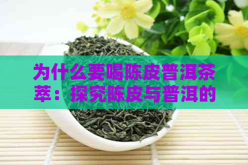 为什么要喝陈皮普洱茶萃：探究陈皮与普洱的天生一对关系及原因。