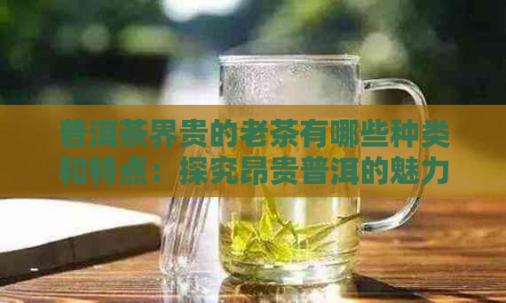 普洱茶界贵的老茶有哪些种类和特点：探究昂贵普洱的魅力所在