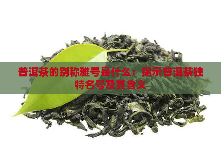 普洱茶的别称雅号是什么：揭示普洱茶独特名号及其含义