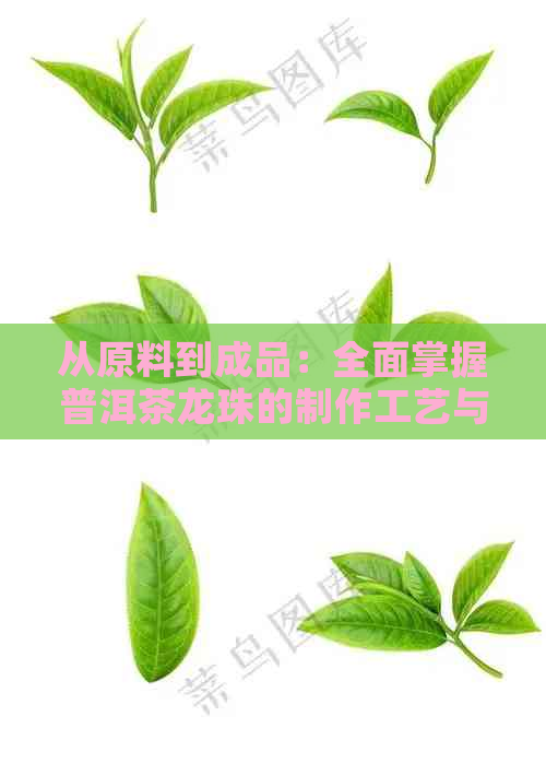 从原料到成品：全面掌握普洱茶龙珠的制作工艺与技巧