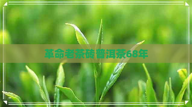 革命老茶砖普洱茶68年