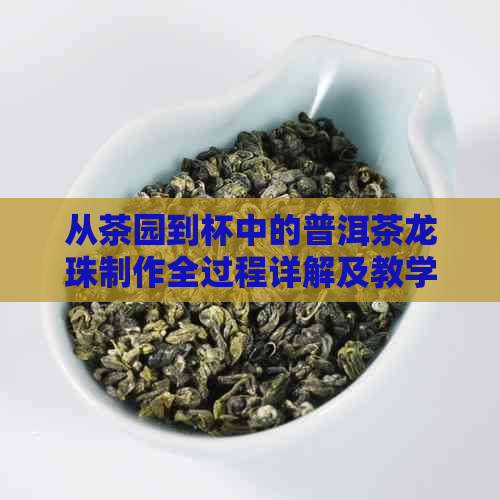 从茶园到杯中的普洱茶龙珠制作全过程详解及教学设计