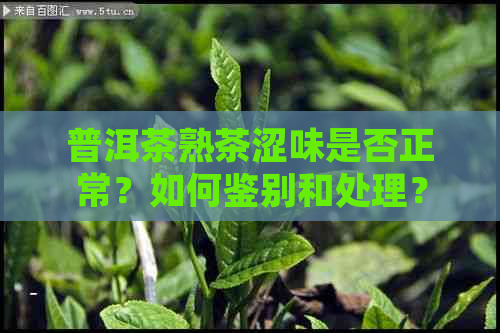 普洱茶熟茶涩味是否正常？如何鉴别和处理？