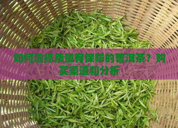 如何选择质量有保障的普洱茶？购买渠道和分析