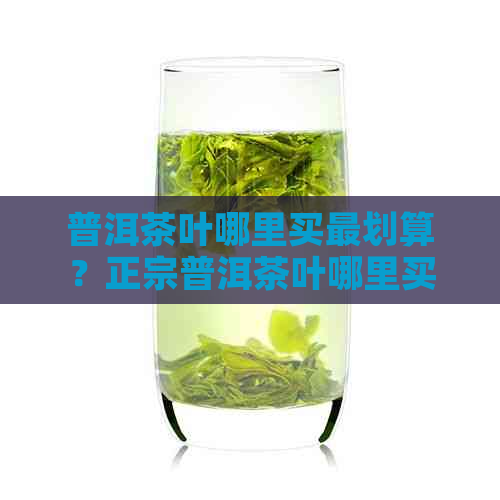 普洱茶叶哪里买最划算？正宗普洱茶叶哪里买？