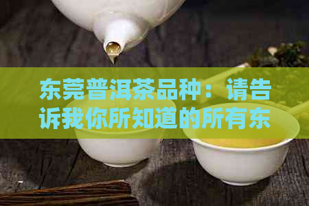 东莞普洱茶品种：请告诉我你所知道的所有东莞积存的普洱茶品种名称。