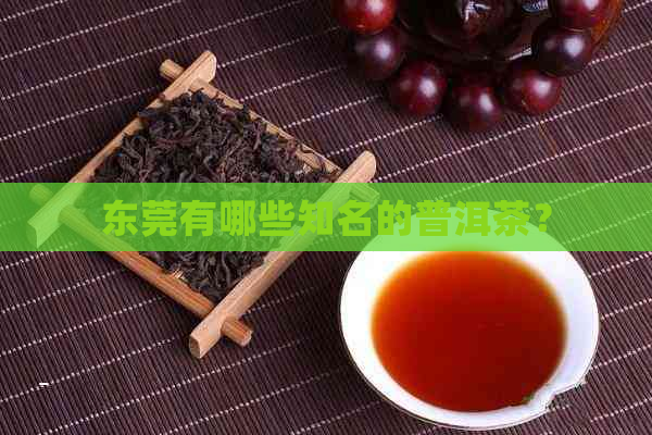 东莞有哪些知名的普洱茶？