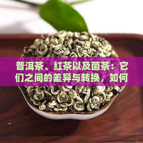 普洱茶、红茶以及菌茶：它们之间的差异与转换，如何制作与品饮？